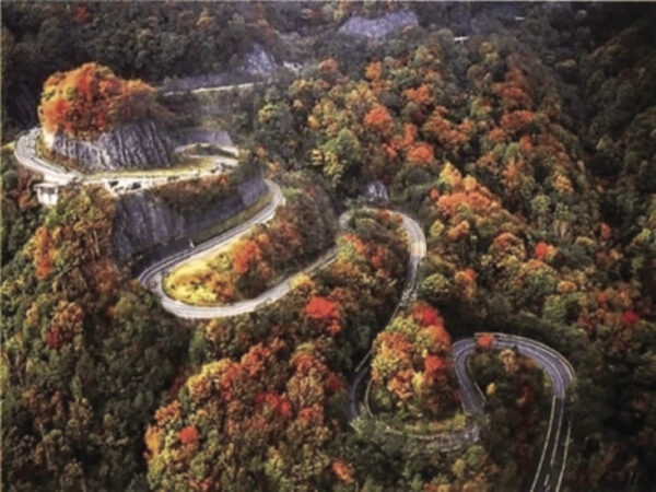 USA - Tail of the Dragon